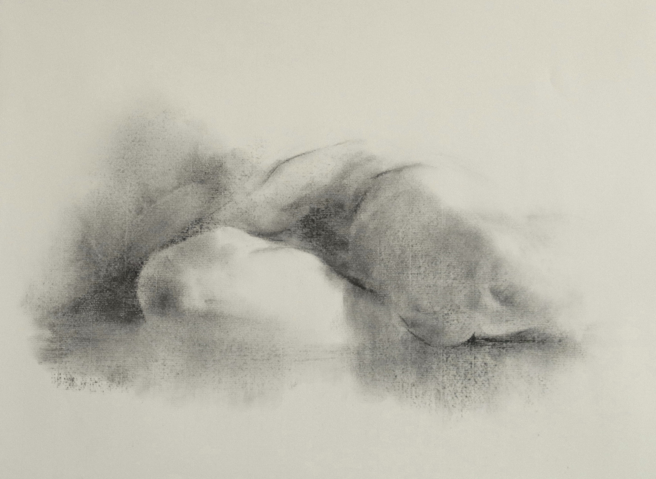 Untitled &mdash; Jasmin Harell